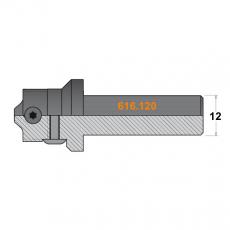 Фреза (корпус) для сменных ножей S=12 D=20x85 RH CMT 616.120