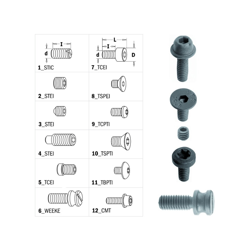Винт  M5X8X10.5 CMT 990.107.00